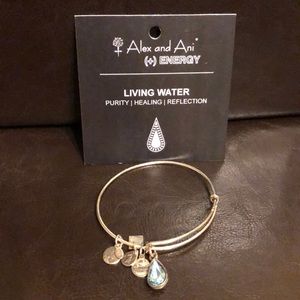 Auth Alex and Ani silver tone Living water